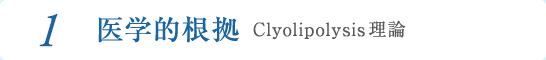 1 医学的根拠 Clyolipolysis理論