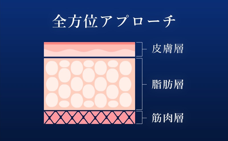 全方位アプローチの概念図（皮膚層・脂肪層・筋肉層）
