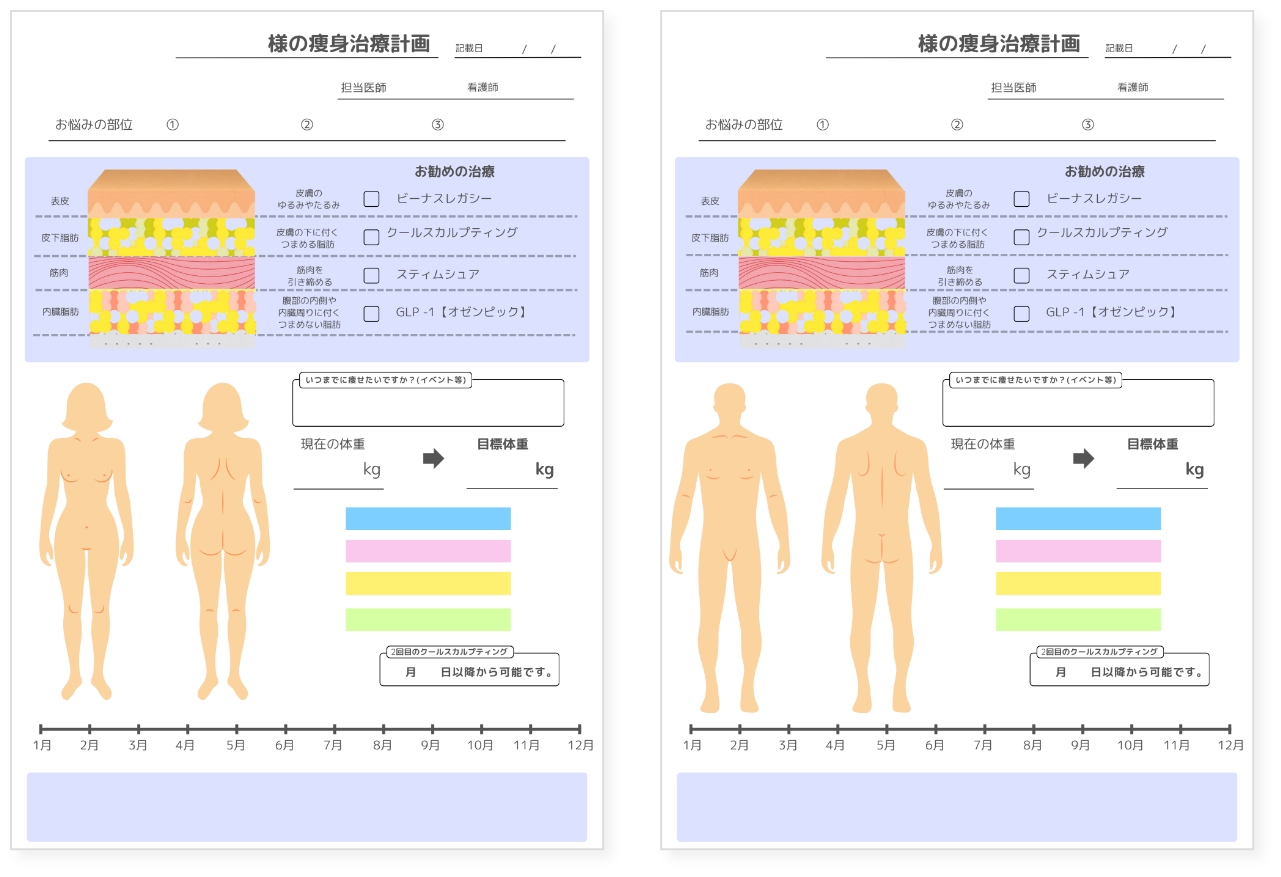 ボディプラン表のサンプル