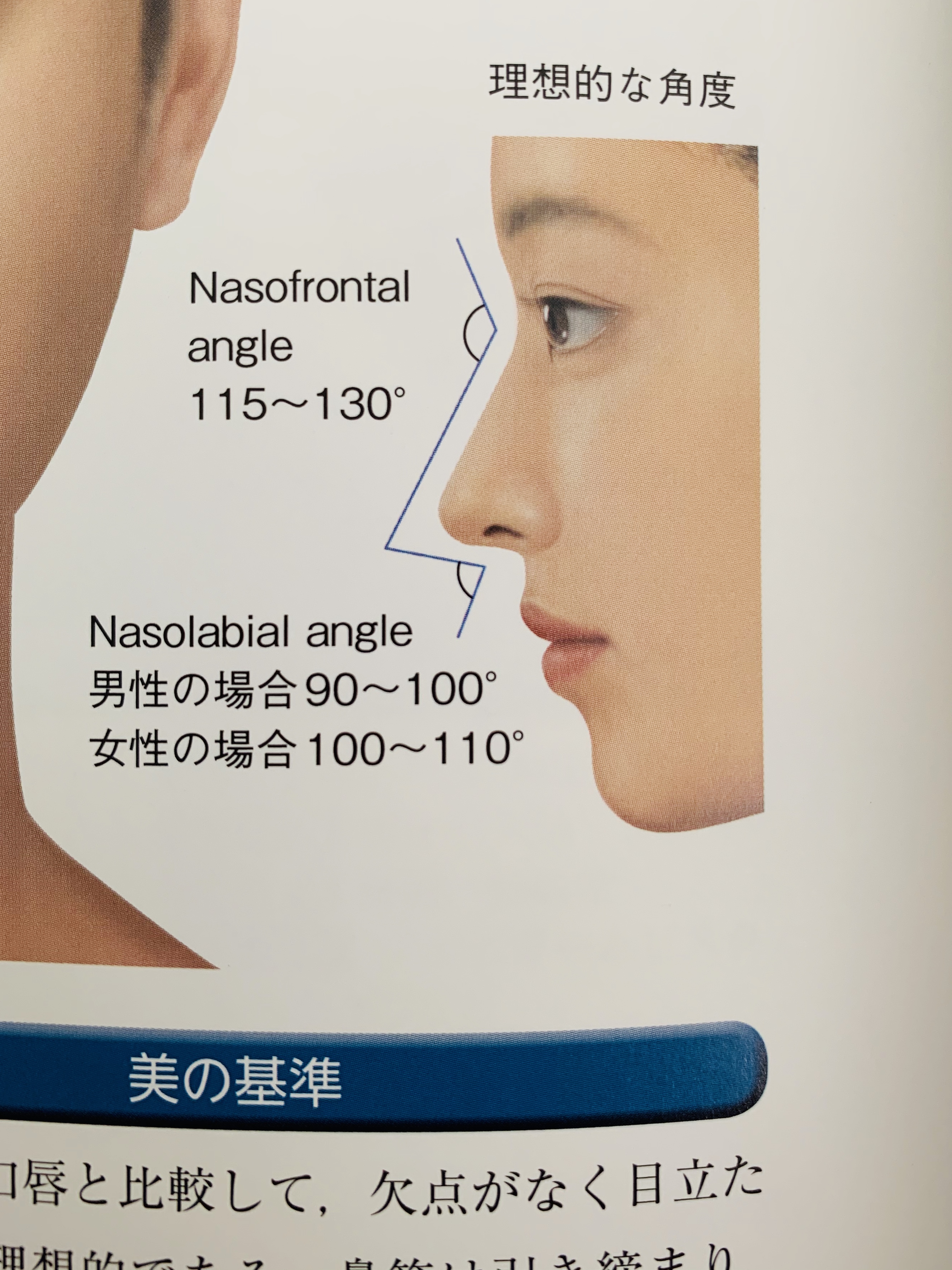 とにかく鼻 存在感のない鼻ってどんな鼻 Kumiko Clinic クミコクリニック 東京 日比谷