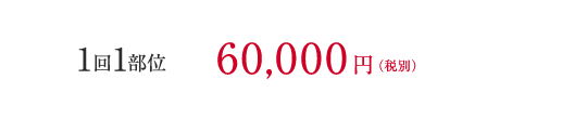 1回1部位60,000円