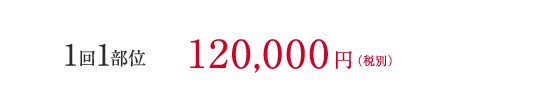 1回1部位120,000円