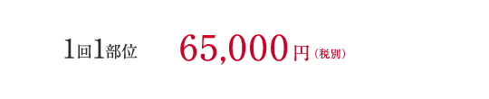 1回1部位65,000円